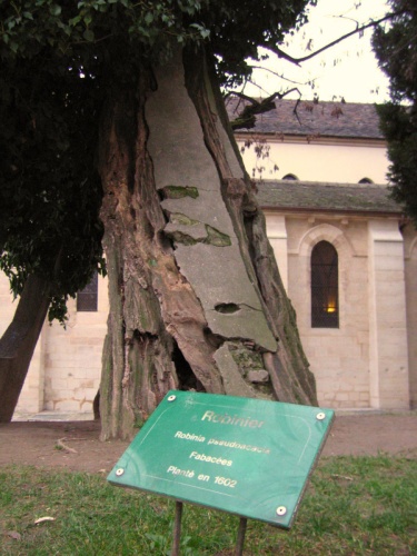 Un engrais en béton